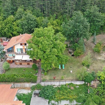 Guest House Slivek Esterno foto