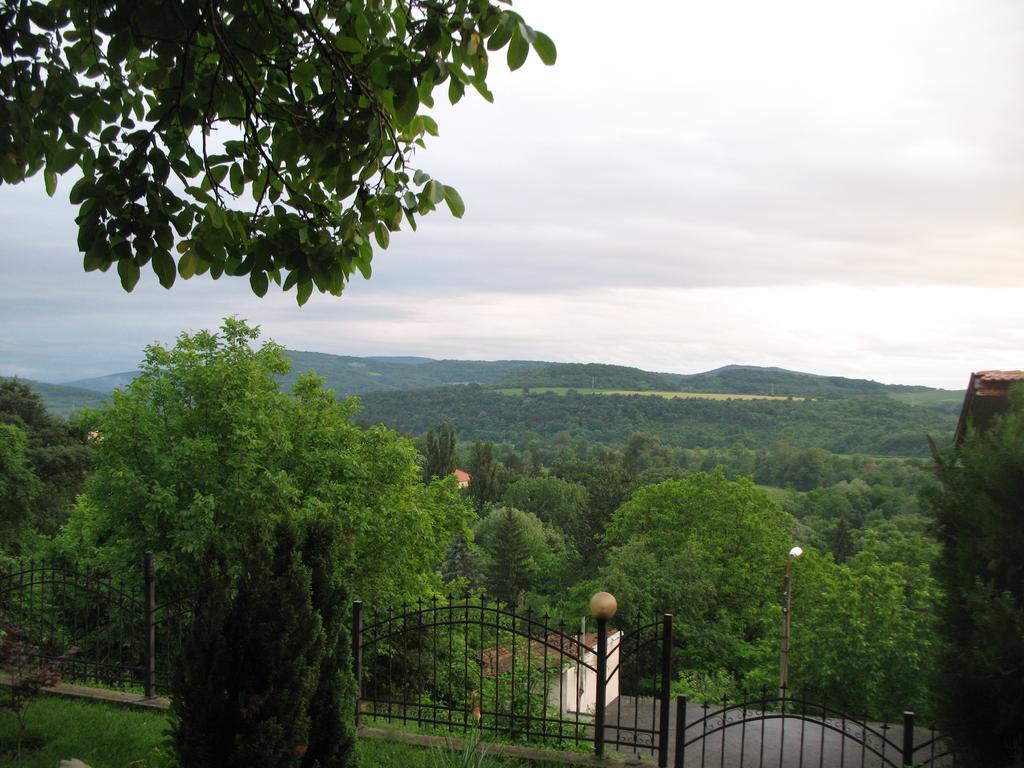 Guest House Slivek Esterno foto